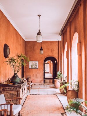 planters with plant near area rug inside room